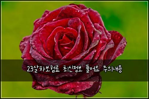 23์ด์ฐจ๋ณดํ๋ฃ ์ต์ ์ ๋ณด ํ์ด์ ์ฃผ์๋ด์ฉ