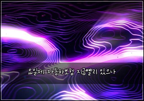 ์์ผ์ ์๋์ฐจ๋ณดํ ์ง๊ธ๋นจ๋ฆฌ ์์ผ๋