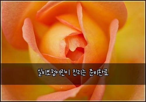 ์ค๋น๋ณดํ์ด๋ฆฐ์ด ์ง๋ฆฌ๋ ์ค๋น์๋ฃ