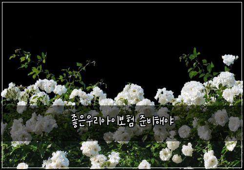 ์ข์์ฐ๋ฆฌ์์ด๋ณดํ ์ค๋นํด์ผ