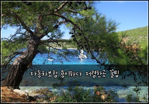 자동차보험 용이하다  저렴한곳 꿀팁