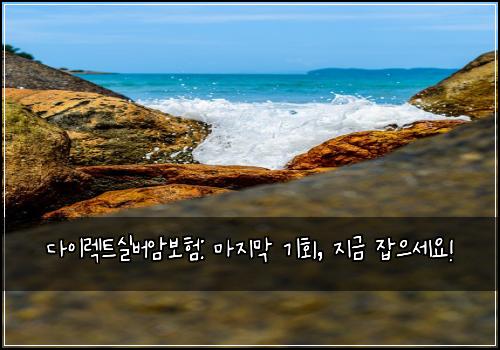 다이렉트실버암보험: 마지막 기회, 지금 잡으세요!
