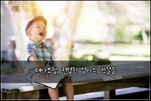 태아보험, 현명한 엄마의 첫걸음