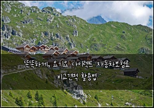  똑똑하게, 요기요 다이렉트 자동차보험료 비교견적 활용법