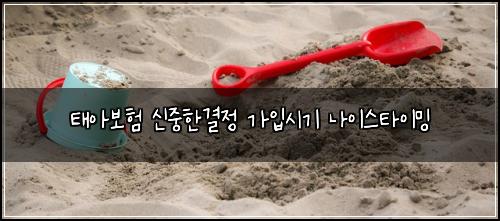 태아보험 신중한결정  가입시기 나이스타이밍