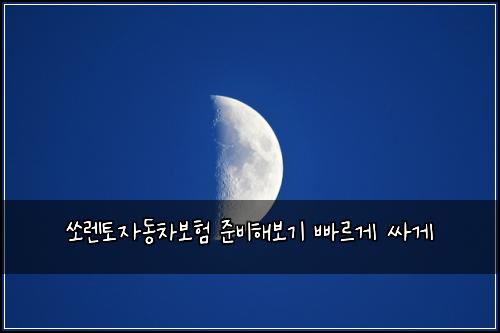 쏘렌토자동차보험 준비해보기  빠르게 싸게