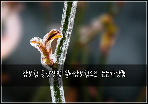 ์๋ณดํ ๋์์๋ช
์ค๋ฒ์๋ณดํ์ผ๋ก ๋ ๋ ํ์ํ