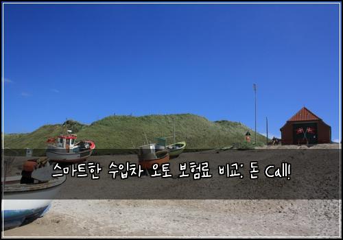  스마트한 수입차 오토 보험료 비교: 돈 Call!