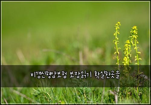 λΉκ°±μ νμ보ν 보μ₯μ½κΈ° νμ€νκ³³μ