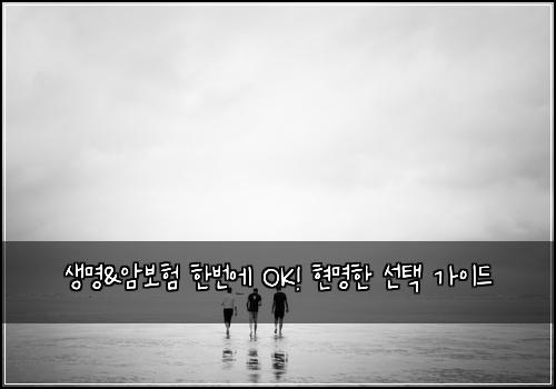 생명&암보험 한번에 OK! 현명한 선택 가이드