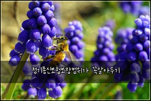 ์ ๊ธฐ์ข
์ ๋ณดํ๋ณด์ฅ๋ฒ์๊ฐ ๊ผญ์์๋๊ธฐ