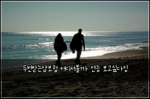 ๋๋ฒ๋ฐ๋์๋ณดํ ์ด๋์๋ณผ๊น ์ธ๋ฅ ๋ณด๊ณ ์ถ๋ค์