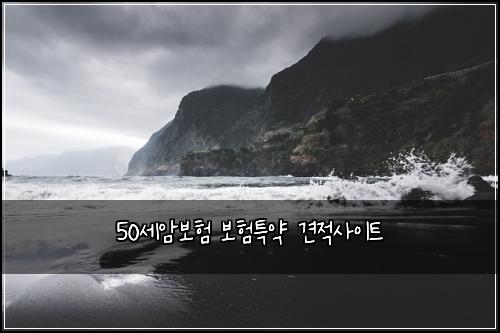 50세암보험 보험특약  견적사이트