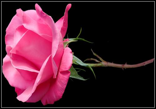 ํ ์ต ๋ฌธ์ฅ ๊ตฌ์กฐ ํ ์ต ์ ํ : ํ ์ต ๋ฌธ์ #112_90