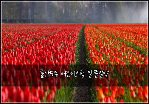 ์ถ์ฐ5์ฃผ ์ด๋ฆฐ์ด๋ณดํ ์๋ฐ์ ์ฝ