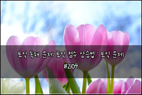 토익 독해 문제 토익 점수 상승법 : 토익 문제 #2104