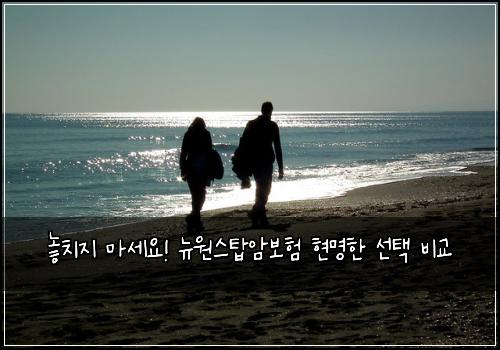  놓치지 마세요! 뉴원스탑암보험 현명한 선택 비교