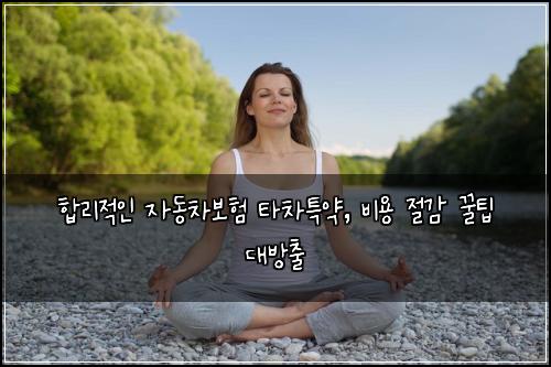 합리적인 자동차보험 타차특약, 비용 절감 꿀팁 대방출