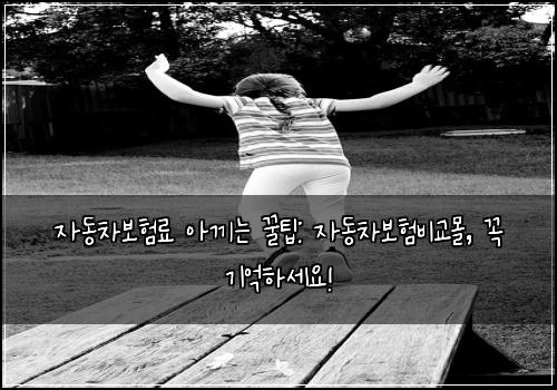 자동차보험료 아끼는 꿀팁: 자동차보험비교몰, 꼭 기억하세요!