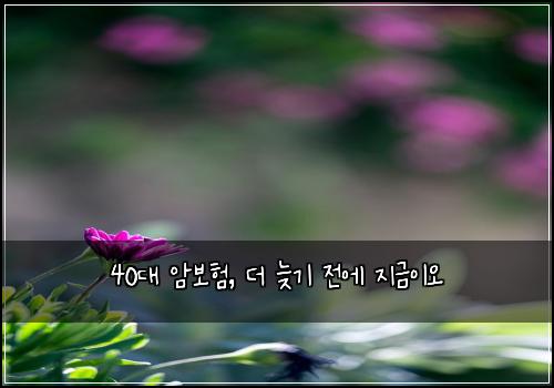  40대 암보험, 더 늦기 전에 지금이오