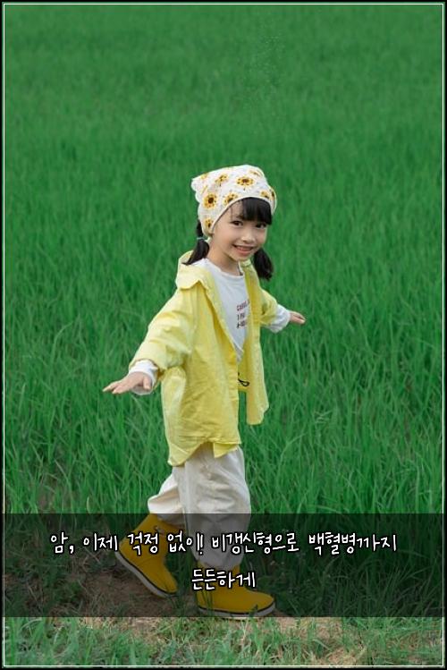 암, 이제 걱정 없이! 비갱신형으로 백혈병까지 든든하게