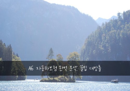 A6 자동차보험 완벽 분석: 꿀팁 대방출