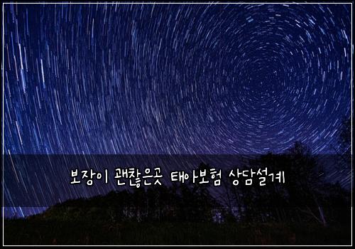 보장이 괜찮은곳 태아보험 상담설계 
