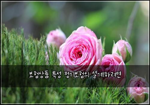 보험상품 특성 정기보험의 설계하려면