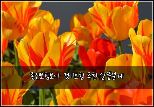 ์ข
์ ๋ณดํ๋ณด๋ค ์ ๊ธฐ๋ณดํ ์ถ์ฒ ์๋ฐ์ค๊ณ