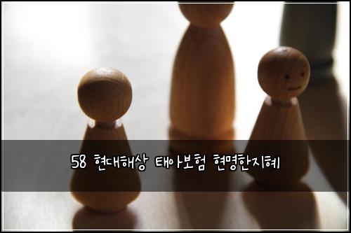 58 현대해상 태아보험 현명한지혜 
