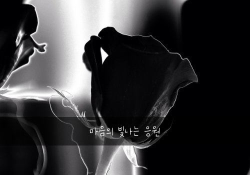 마음의 빛나는 응원