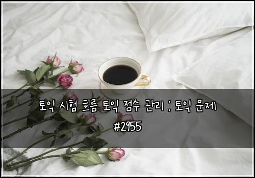 토익 시험 흐름 토익 점수 관리 : 토익 문제 #2955