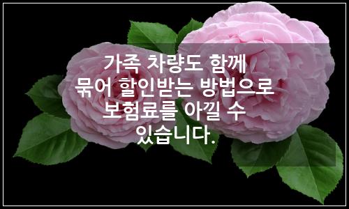 오늘의 이미지