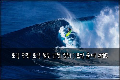 토익 전략 토익 점수 인정 범위 : 토익 문제 #1915