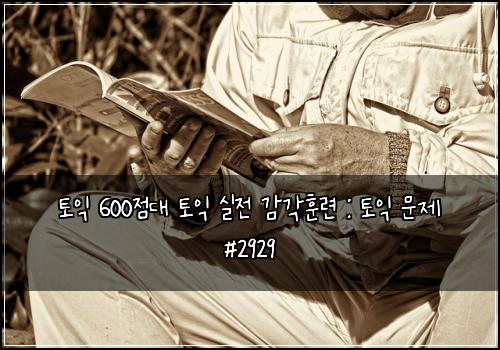 토익 600점대 토익 실전 감각훈련 : 토익 문제 #2929