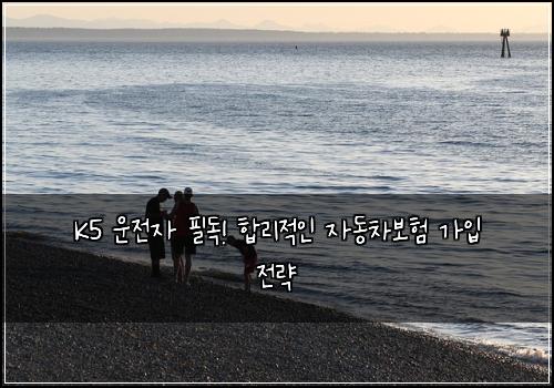  K5 운전자 필독! 합리적인 자동차보험 가입 전략