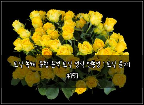 토익 독해 유형 분석 토익 성적 변동성 : 토익 문제 #757