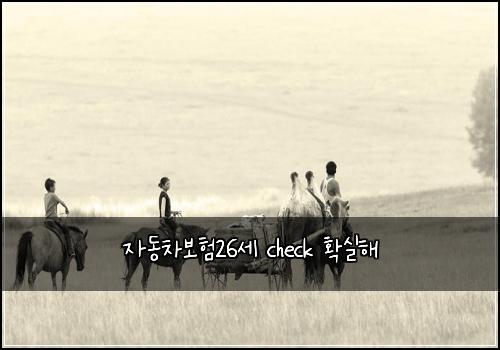 ์๋์ฐจ๋ณดํ26์ธ check ํ์คํด
