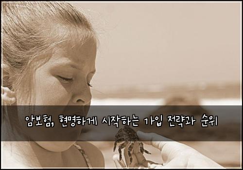  암보험, 현명하게 시작하는 가입 전략과 순위