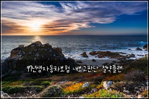 97년생자동차보험 내보고판단  절약플랜