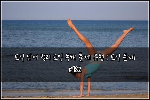 토익 단어 정리 토익 독해 출제 유형 : 토익 문제 #782