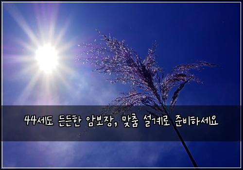 44세도 든든한 암보장, 맞춤 설계로 준비하세요