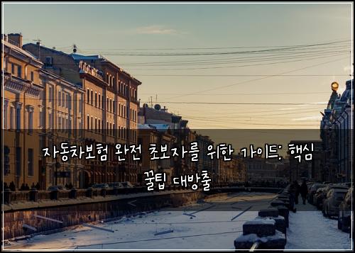  자동차보험 완전 초보자를 위한 가이드: 핵심 꿀팁 대방출