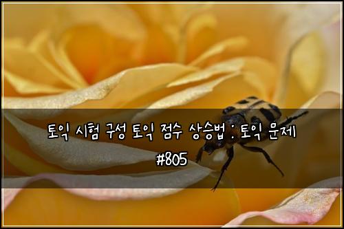 토익 시험 구성 토익 점수 상승법 : 토익 문제 #805