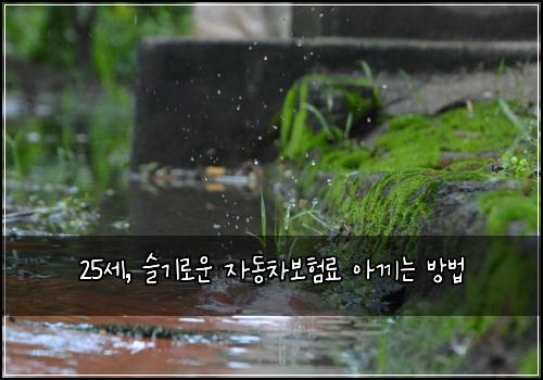 25세, 슬기로운 자동차보험료 아끼는 방법