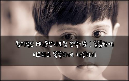  합리적인 MG운전자보험 선택기준 : 꼼꼼하게 비교하고 똑똑하게 가입하기