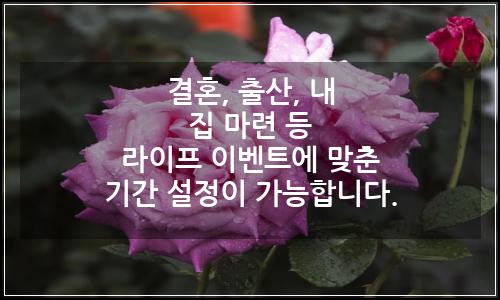 오늘의 이미지