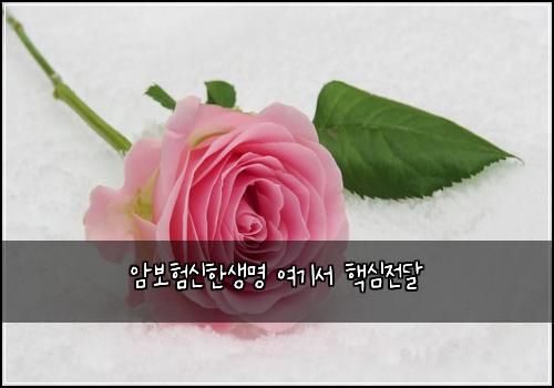 암보험신한생명 여기서 핵심전달