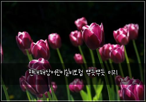 현대해상어린이실비보험 뿌듯뿌듯  미리