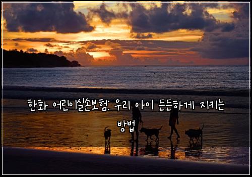 한화 어린이실손보험: 우리 아이 든든하게 지키는 방법